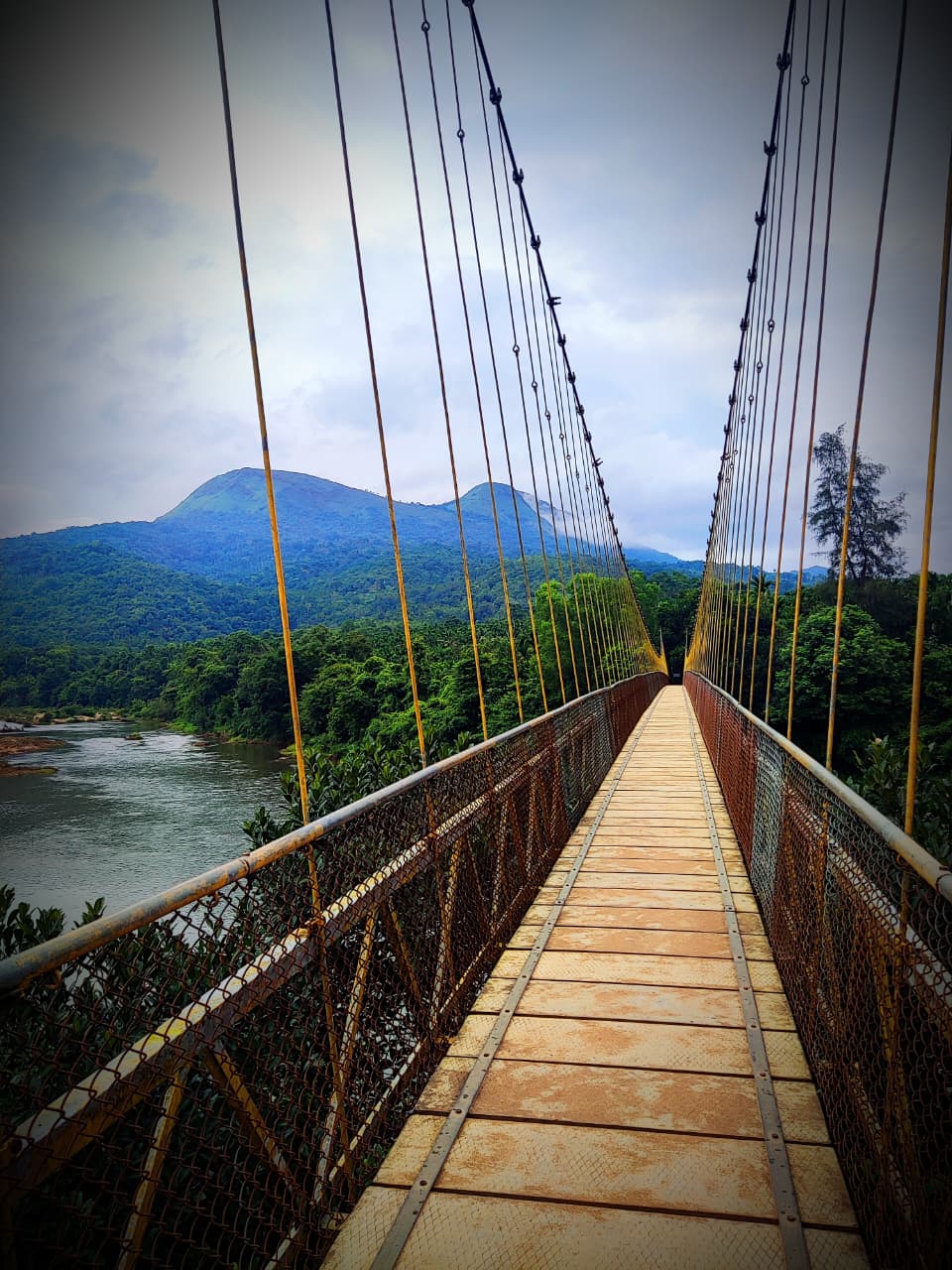 Hanging bridge